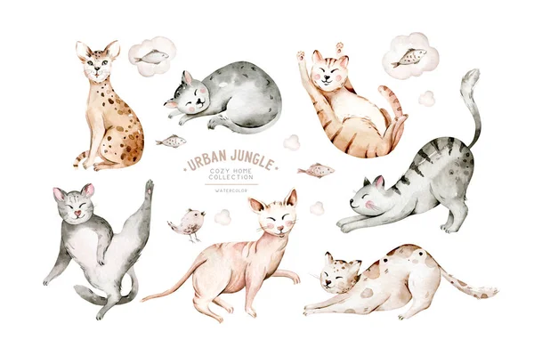 Cute watercolor cartoon cats set illustrations isolated on white. Perfect for stikers, wallpaper, poster decoration