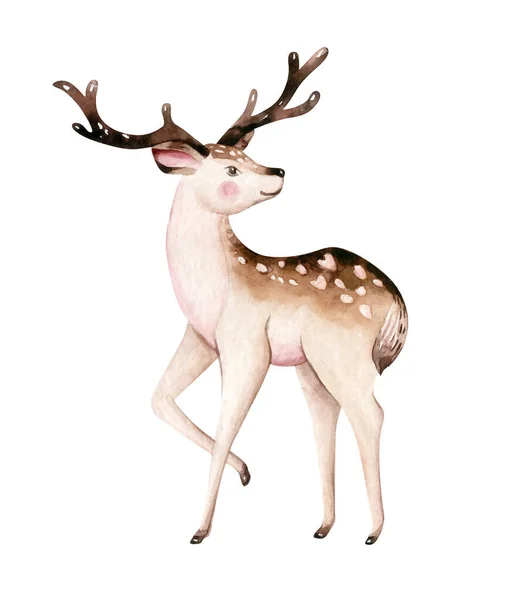 Cerf Aquarelle Noël Enfant Mignon Illustration Animal Forêt Noël Nouvelle — Photo