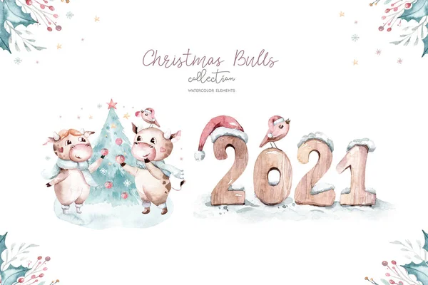 水彩画 2021年的象征 有趣又可爱的公牛圣诞插图 — 图库照片