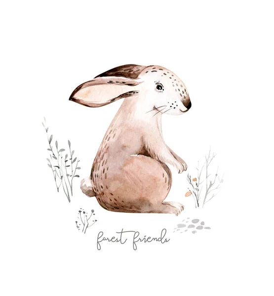 Woodland watercolor cute animals baby rabbit. Nursery bunny Scandinavian hare on forest nursery poster design. Isolated bunnies character.