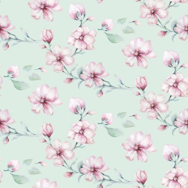 Kiraz çiçeği Pembe çiçek suluboya tarzında beyaz arka plan ile Seamless modeli. yaz çiçek açan sakura şube dekorasyon