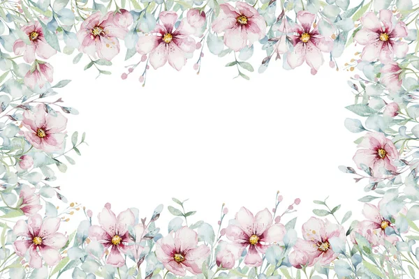 Beyaz Arka Plan Ile Suluboya Tarzında Çiçeği Pembe Kiraz Çiçek — Stok fotoğraf
