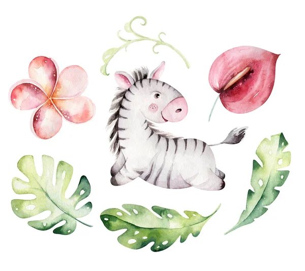 Watercolor cute baby cartoon zebra animal character isolated on white. Hand painted safari tropical little baby cat for nursery print poster design and baby shower card — Stock Photo, Image