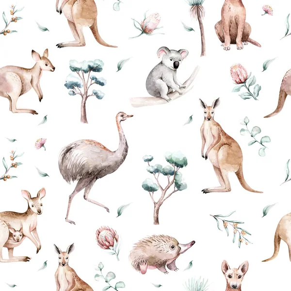 Acuarelă desene animate australiene cangur emu, koala și care zboară vulpe model fără sudură. Cangurii australieni fac ilustrații pentru copii. Nursery tapet artă — Fotografie, imagine de stoc