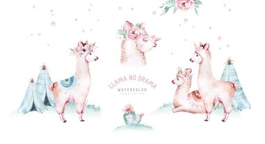 Tatlı suluboya lama, beyaz üzerinde izole edilmiş alpaka çizimi. Etnik battaniyeli lama izi, çiçek çelengi, çiçek buketi ve Meksika boho süslemesi.