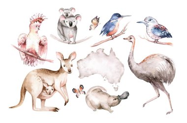 Suluboya Avustralya çizgi filmi kanguru kusursuz desen. Avustralyalı kangurular çocuklara resim çizdiriyor. Çocuk odası duvar kağıdı