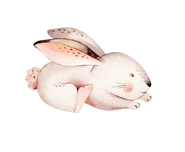 Ensemble Pâques Heureux Aquarelle Avec Conception Lapins Bébé Lapin Lapin — Photo