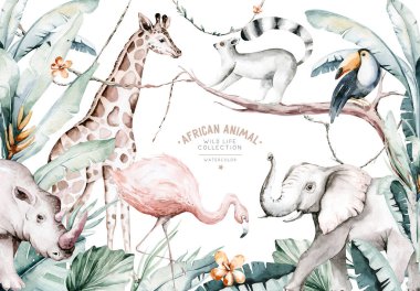 Afrika Hayvanlarının suluboya çizimi: lemur, flamingo ve zürafa, tukan ve gergedan, gergedan ve fil izole edilmiş beyaz arka plan. Safari savan hayvanları.