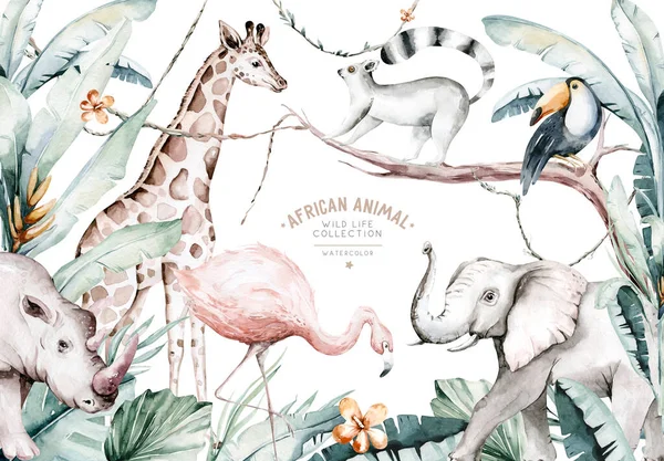 Akvarell Illustration Afrikanska Djur Lemur Flamingo Och Giraff Toucan Och — Stockfoto