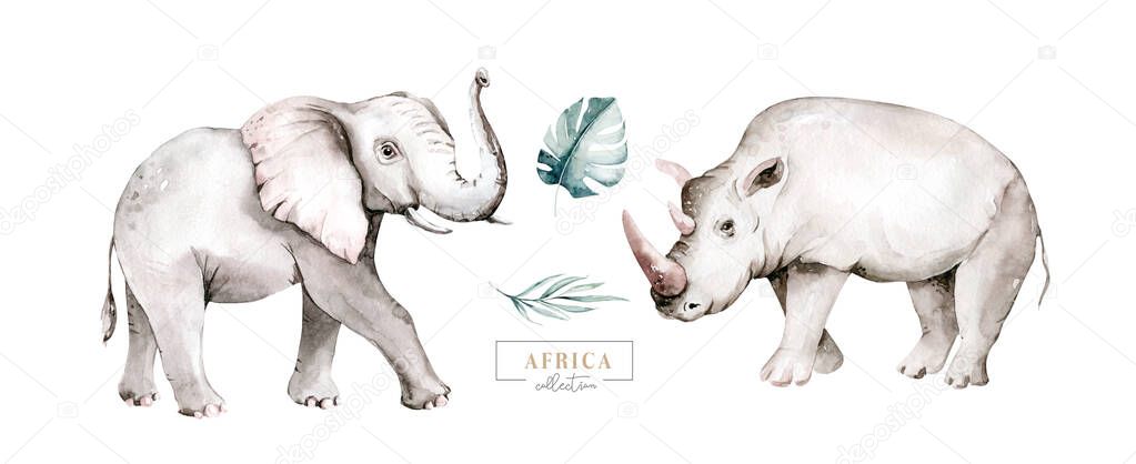 Watercolor frican elephant animal and rhinoceros isolated on white background. Savannah rhipo wildlife cartoon zoo safari poster. Jungle decoration.