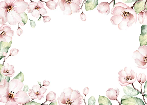 Aquarell Boho Blüten Blume Hintergrund Frühling Oder Sommer Dekoration Floralen — Stockfoto
