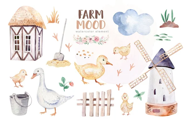 Farms Animal Set Cute Domestic Pets Watercolor Illustration Horse Goose — Stock Photo, Image