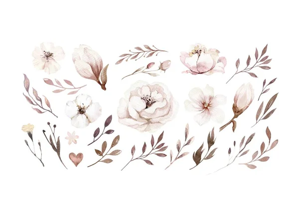 Σετ Λουλουδιών Νερομπογιές Άνοιξη Καλοκαίρι Διακόσμηση Floral Μποέμικο Σχεδιασμό Υδατογραφία — Φωτογραφία Αρχείου
