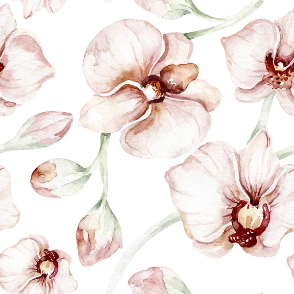 Bir dizi suluboya illüstrasyon Tropikal Orkide. İzole bir illüstrasyon. Egzotik çiçek. Yaz tropik çiçekleri. Moda kumaşı.