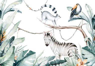 Beyaz arka planda bir lemur ve tukan resmedilmiş suluboya orman çizimi. Madagaskar Hayvanat Bahçesi Egzotik Lemurlar Hayvanat Bahçesi. Tropik tasarım posteri.