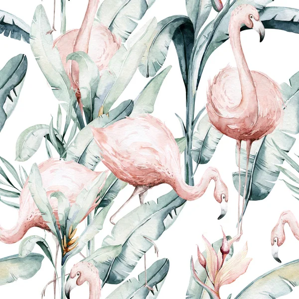 Tropical Seamless Pattern Flamingo Watercolor Tropic Drawing Rose Bird Greenery — Stock Photo, Image