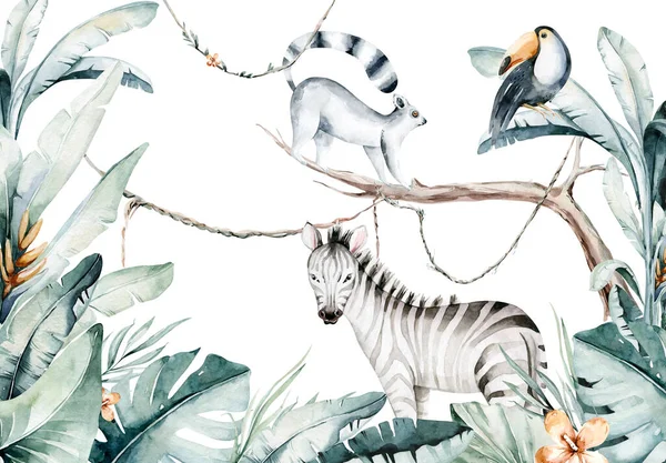 Watercolor Jungle Illustration Lemur Toucan White Background Madagascar Fauna Zoo — Stock Photo, Image