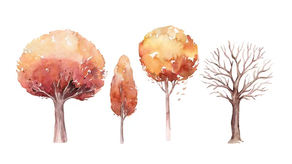 Набор Акварельных Осенних Деревьев Осенний Ручной Рисунок Желтого Оранжевого Леса — стоковое фото