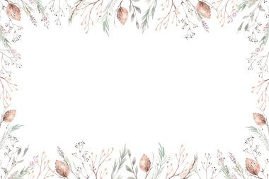 Dalları, yaprakları ve böğürtlenleri olan suluboya resimler. Kış ve sonbahar orman bitkileri. Bitki bahçesi koleksiyonu.