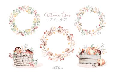 Dalları, yaprakları ve böğürtlenleri olan suluboya resimler. Kış ve sonbahar orman bitkileri. Bitki bahçesi koleksiyonu.