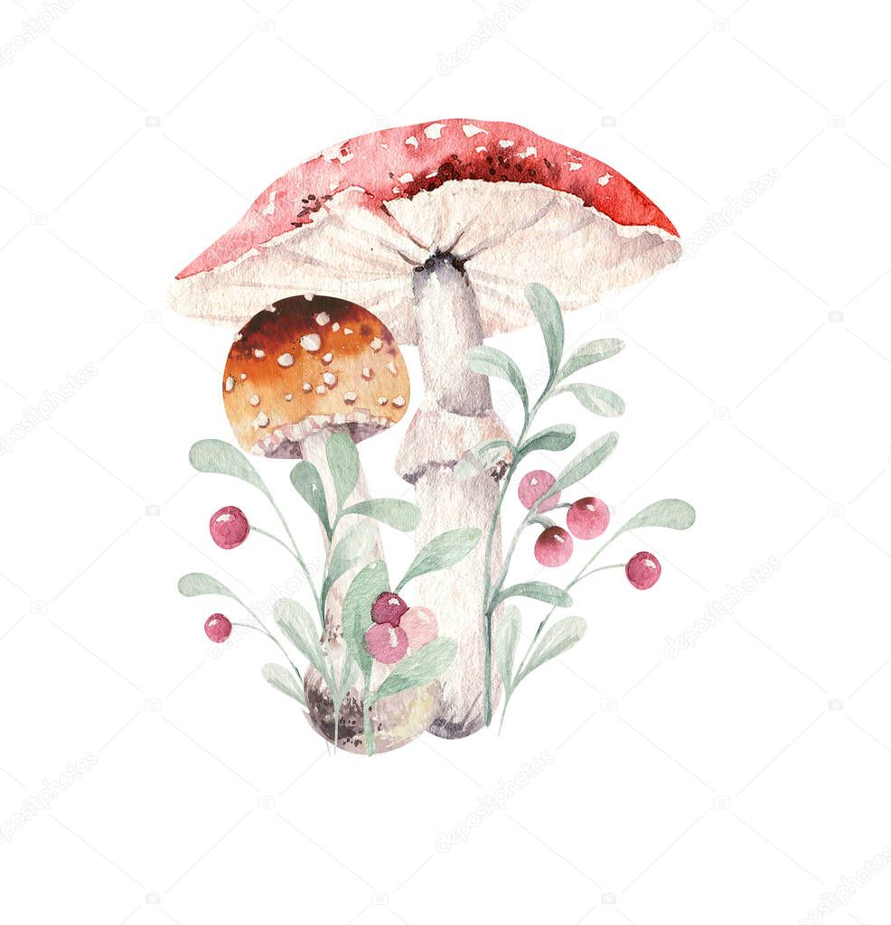Watercolor illustration with mashrooms, branches, leaves and berries. Set of autumn forest plants, fly agaric and boletus, drawing, Collection of herbarium garden