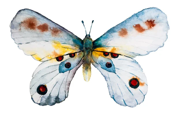Acuarela Acuarela mariposa — Vector de stock