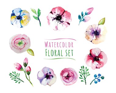 watercolor design illustration of floral elements set clipart