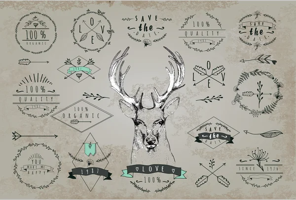 Set of frames and labels with deer — Stock Vector