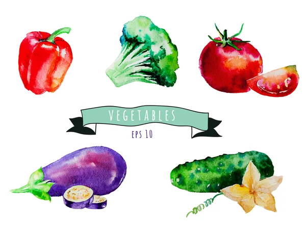 Ensemble de légumes aquarelle — Image vectorielle