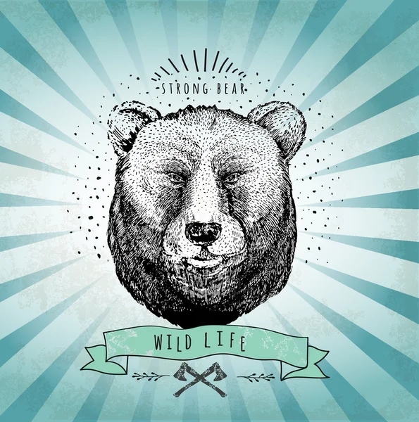 Vintage label bear Stock Vector