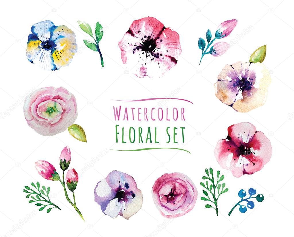 watercolor design illustration of floral elements set