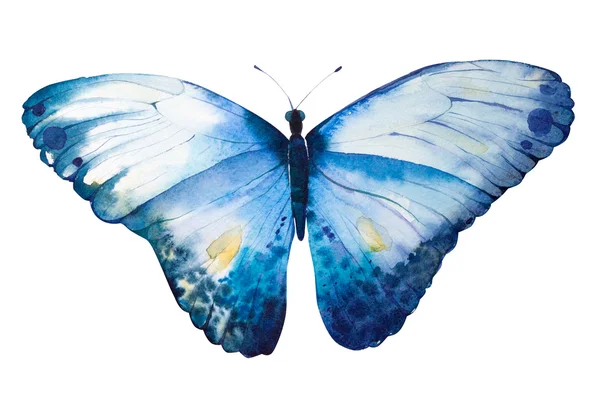 Hand Painted watercolor butterfly. — Stock Photo, Image