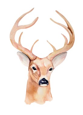 Watercolor deer head. Design for T-shirt. Handmade illustration.
