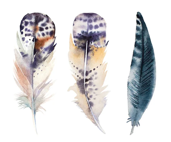 Набор акварельных перьев ручной работы, растровая иллюстрация изолирована — стоковое фото