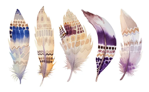 Hand drawn watercolor feather set. illustration isolated on whit — Stockfoto