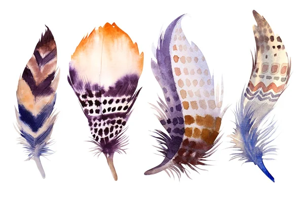 Hand drawn watercolor feather set. illustration isolated on whit — Stockfoto