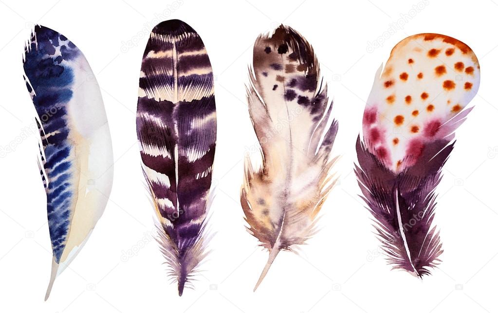 Hand drawn watercolor feather set. illustration isolated on whit