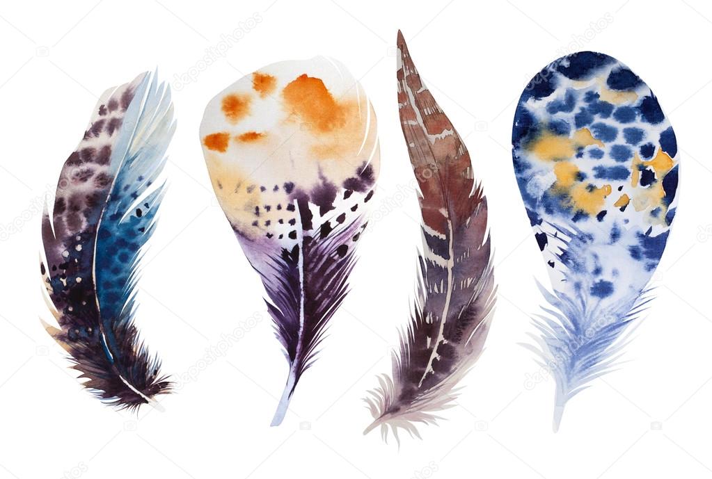 Hand drawn watercolor feather set. illustration isolated on whit