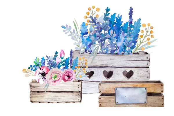 Akvarell blommor trälåda. Handritade vintage illustration. — Stockfoto