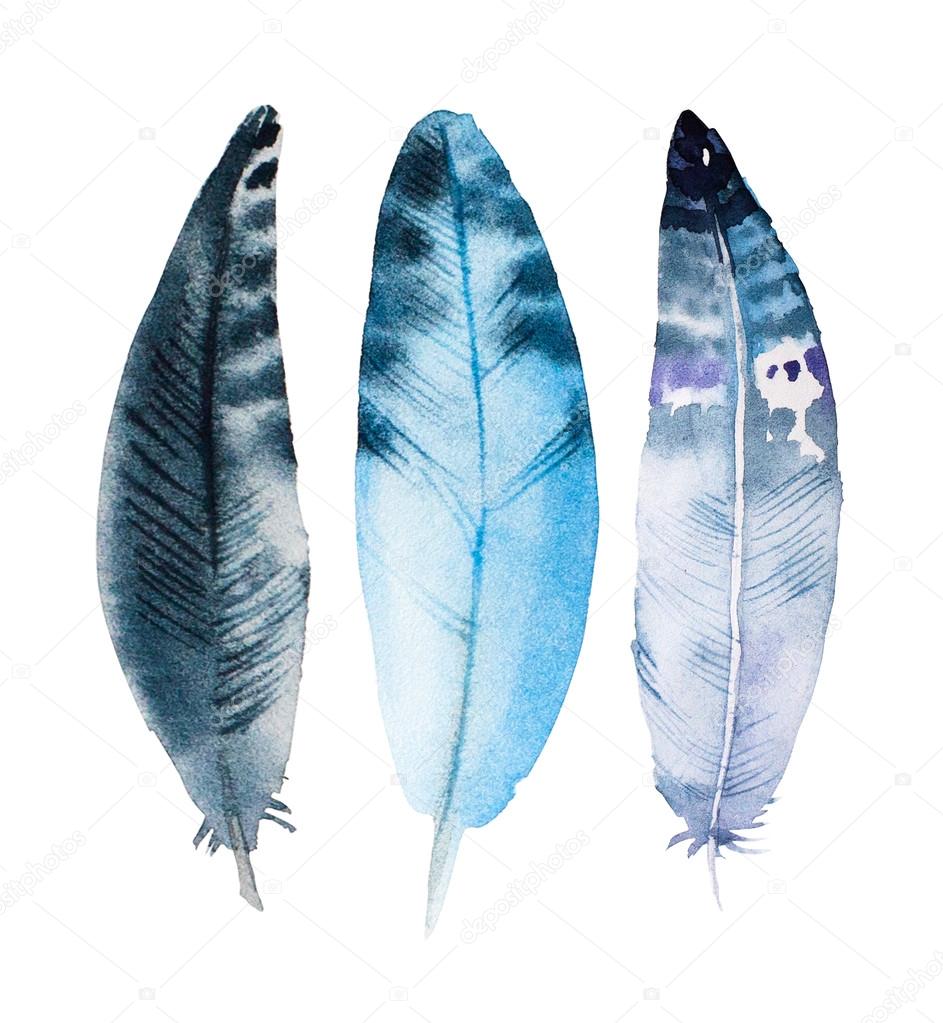 hand drawn watercolor feather set, raster illustration isolated