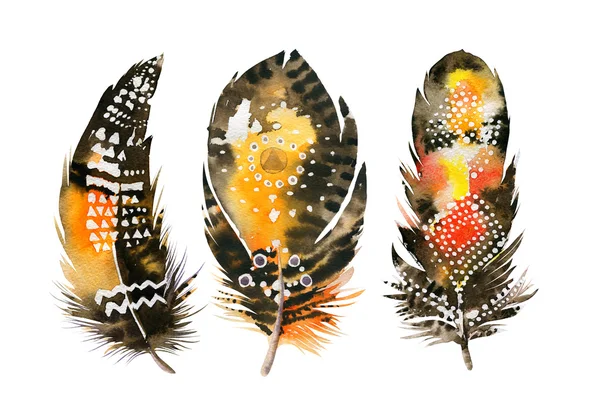 Hand drawn watercolor feather set.  Boho style. illustration iso — Stock Photo, Image