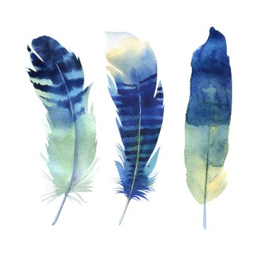 Elle çizilmiş suluboya tüy küme. Boho tarzı. şekil isol