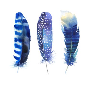 Elle çizilmiş suluboya tüy küme. Boho tarzı. şekil isol