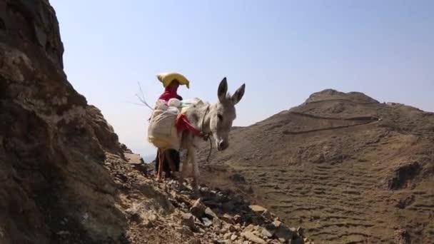 Taiz Jemen Apr 2017 Jemenitische Vrouwen Brengen Hun Eten Drinken — Stockvideo