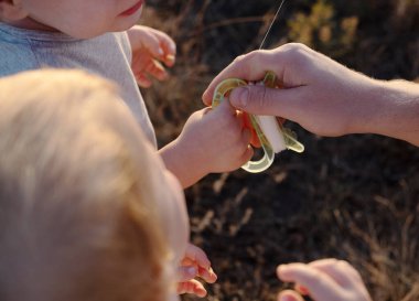 Baba ve çocuklar gün batımında uçurtma uçuruyorlar.