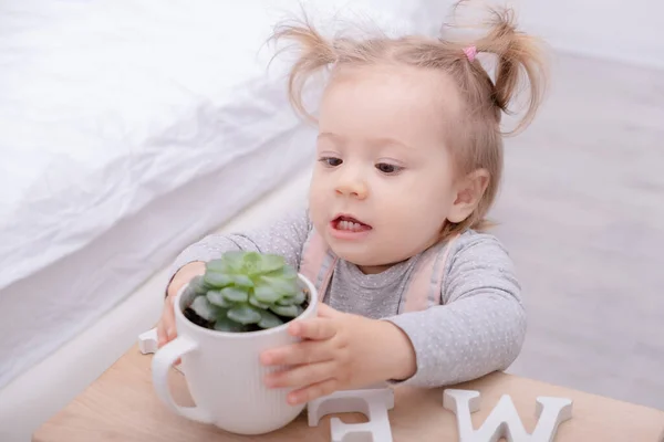 Menina Engraçada Cuidadosamente Toca Suculento Pote — Fotografia de Stock