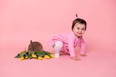 Tatlı kız tavşan ve pembe arka planda sarı laleler. bahar ve Paskalya.