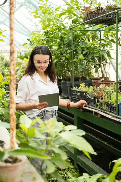 매력적 인 사업가 정원사가 태블릿을 사용하는 모습. 정원가꾸는 일에 대한 현대의 과학 기술. — 스톡 사진