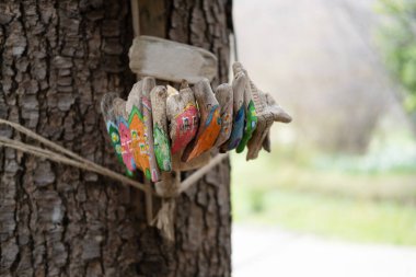 Parktaki ağaç gövdesinde renkli kuş yemi.