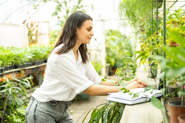 Young business women gardener using laptop in greenhouse. Modern technology in gardening business. — Stock Photo, Image